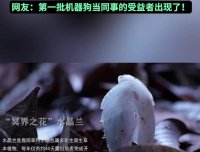哀牢山迎来首位“机器人科考队员”，云深处山猫 M20S 拍到“冥界之花”